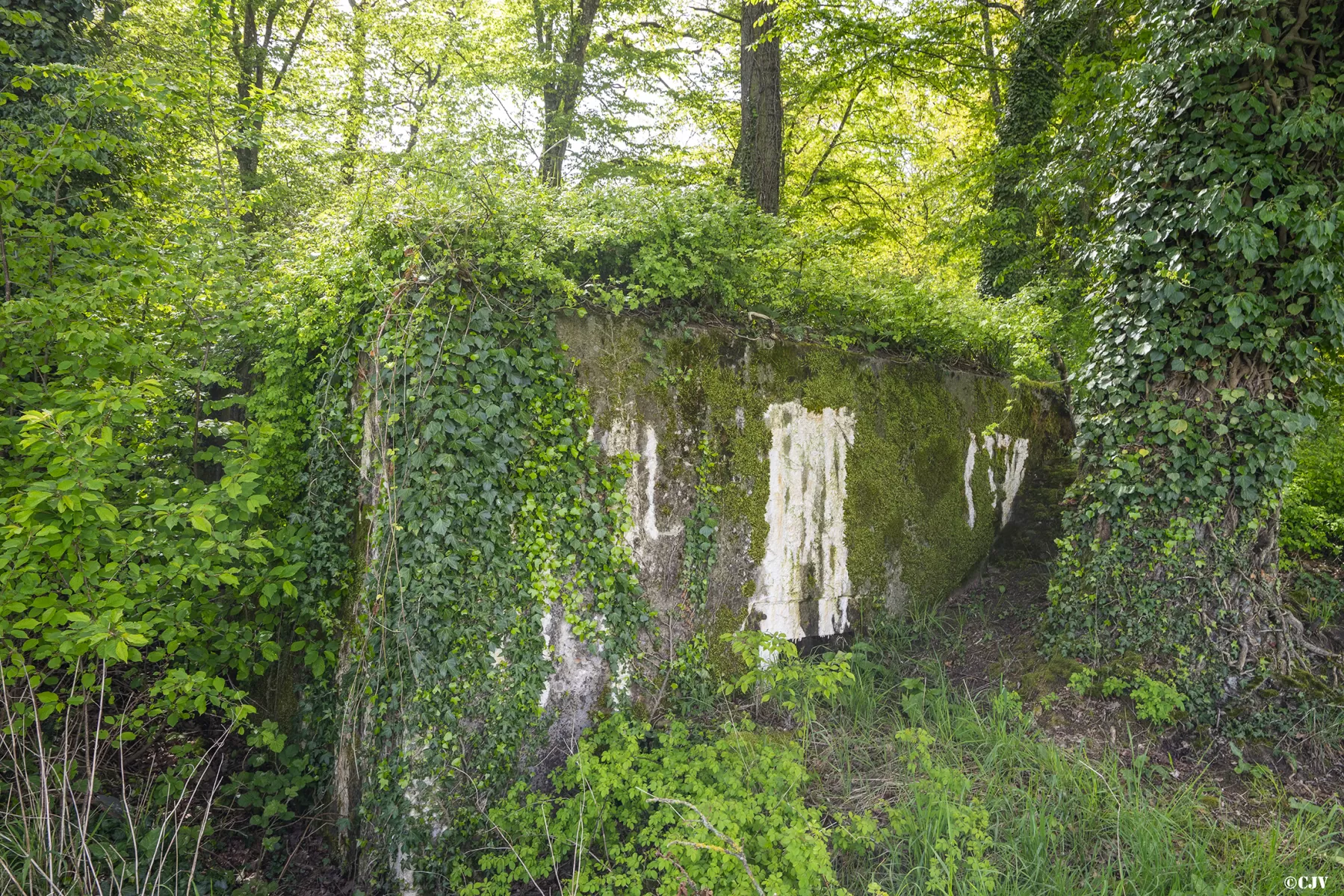 Ligne Maginot - BB129 - BRUEHL EST - (Blockhaus pour arme infanterie) - Créneau pour flanquement - Lia VERMEULEN