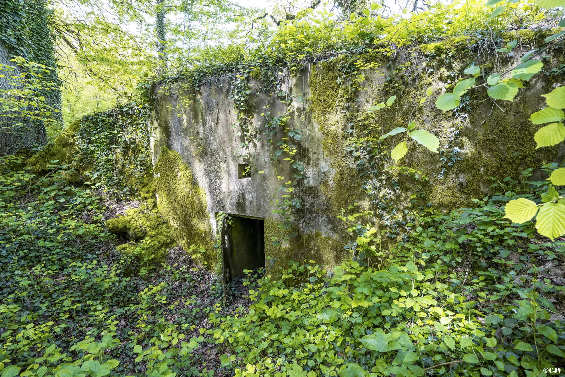 Ligne Maginot - BB129 - BRUEHL EST - (Blockhaus pour arme infanterie) - L'entrée - Lia VERMEULEN