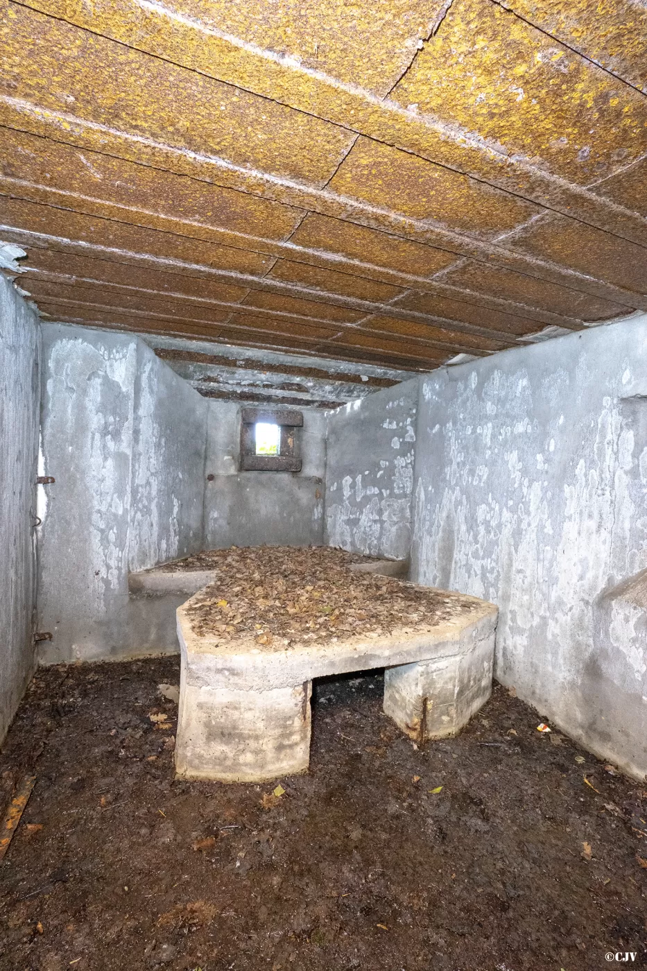 Ligne Maginot - BB129 - BRUEHL EST - (Blockhaus pour arme infanterie) - Position pour arme de flanquement - Lia VERMEULEN