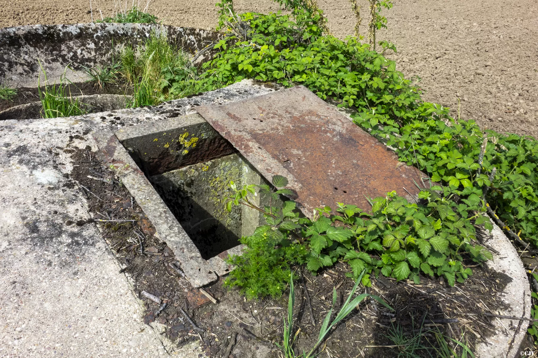 Ligne Maginot - BT39 - SAINTE BARBE SUD - (Cuve pour arme d'infanterie) -  - Lia VERMEULEN