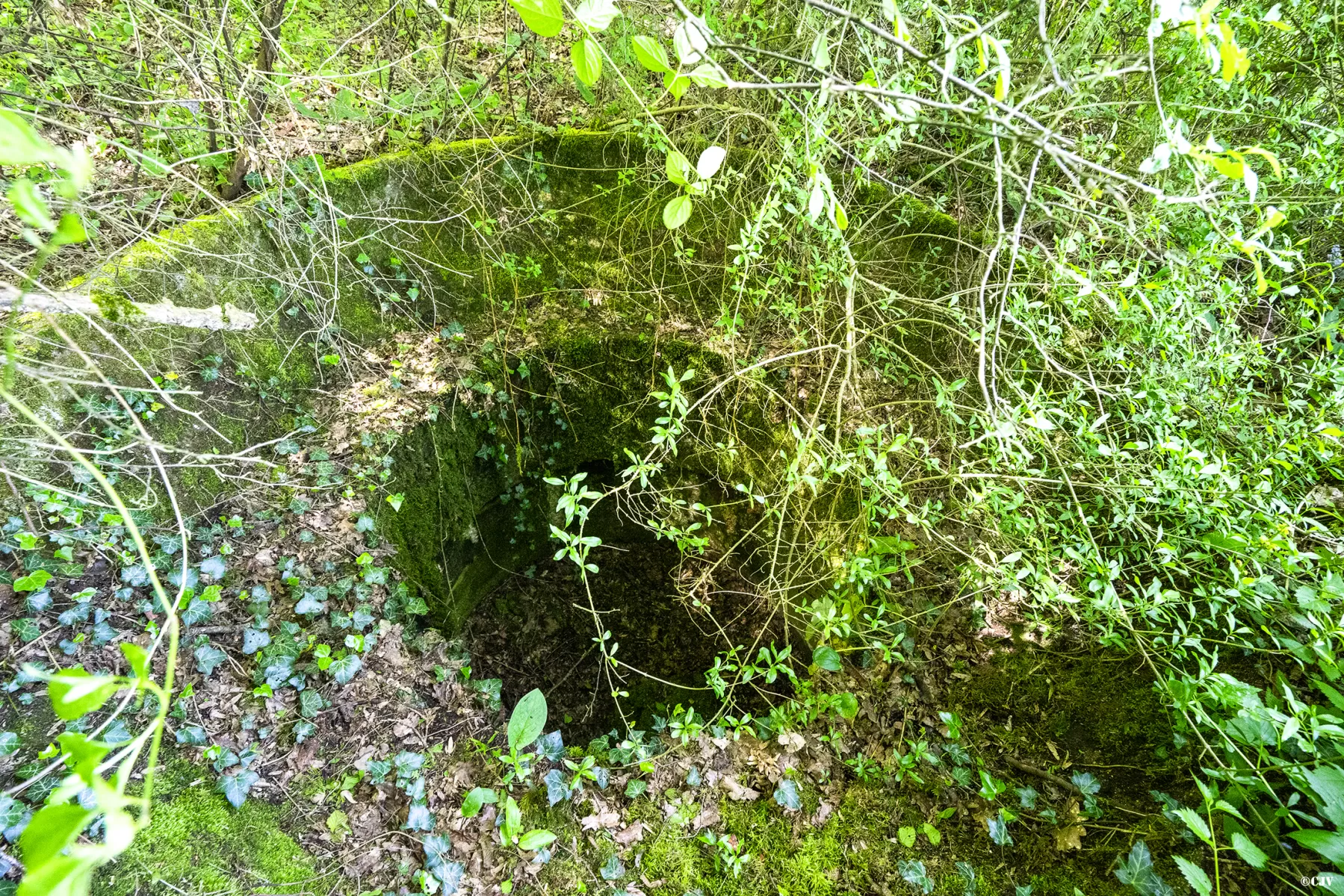 Ligne Maginot - BT40 - (Cuve pour arme d'infanterie) -  - Lia VERMEULEN