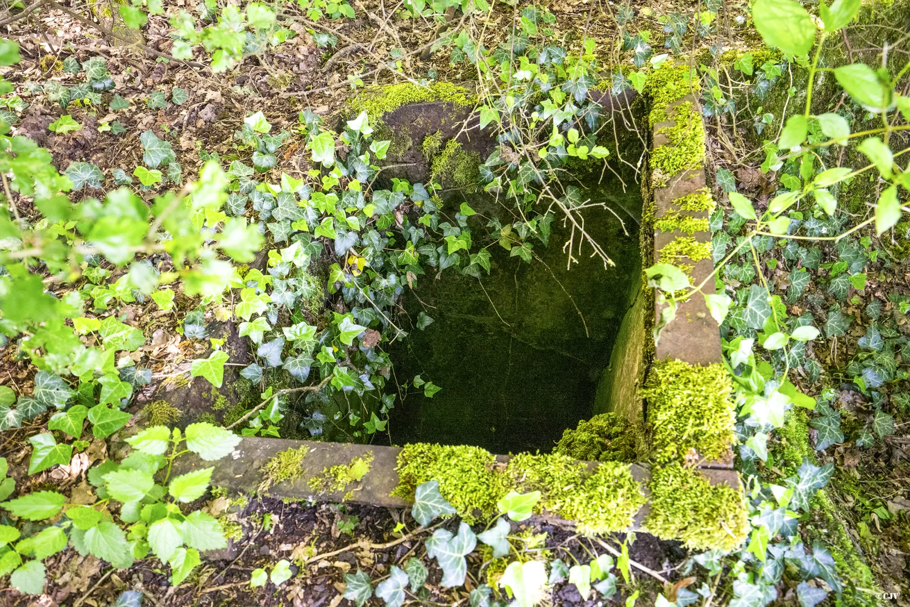 Ligne Maginot - BT40 - (Cuve pour arme d'infanterie) -  - Lia VERMEULEN