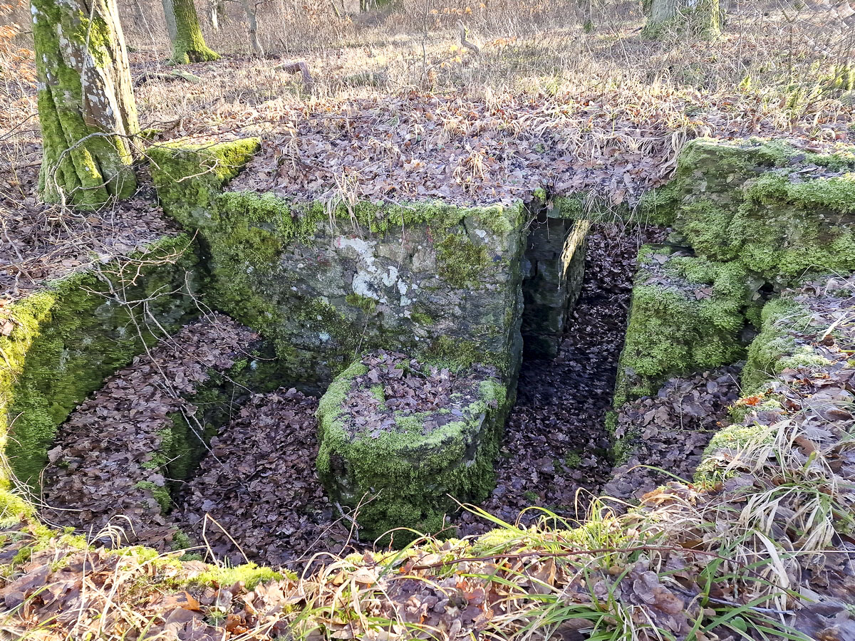 Ligne Maginot - ALTWIESERBACH 4 - (Cuve pour arme d'infanterie) - L'ouvrage le mieux conservé de l'ensemble - Franck Niederlender
