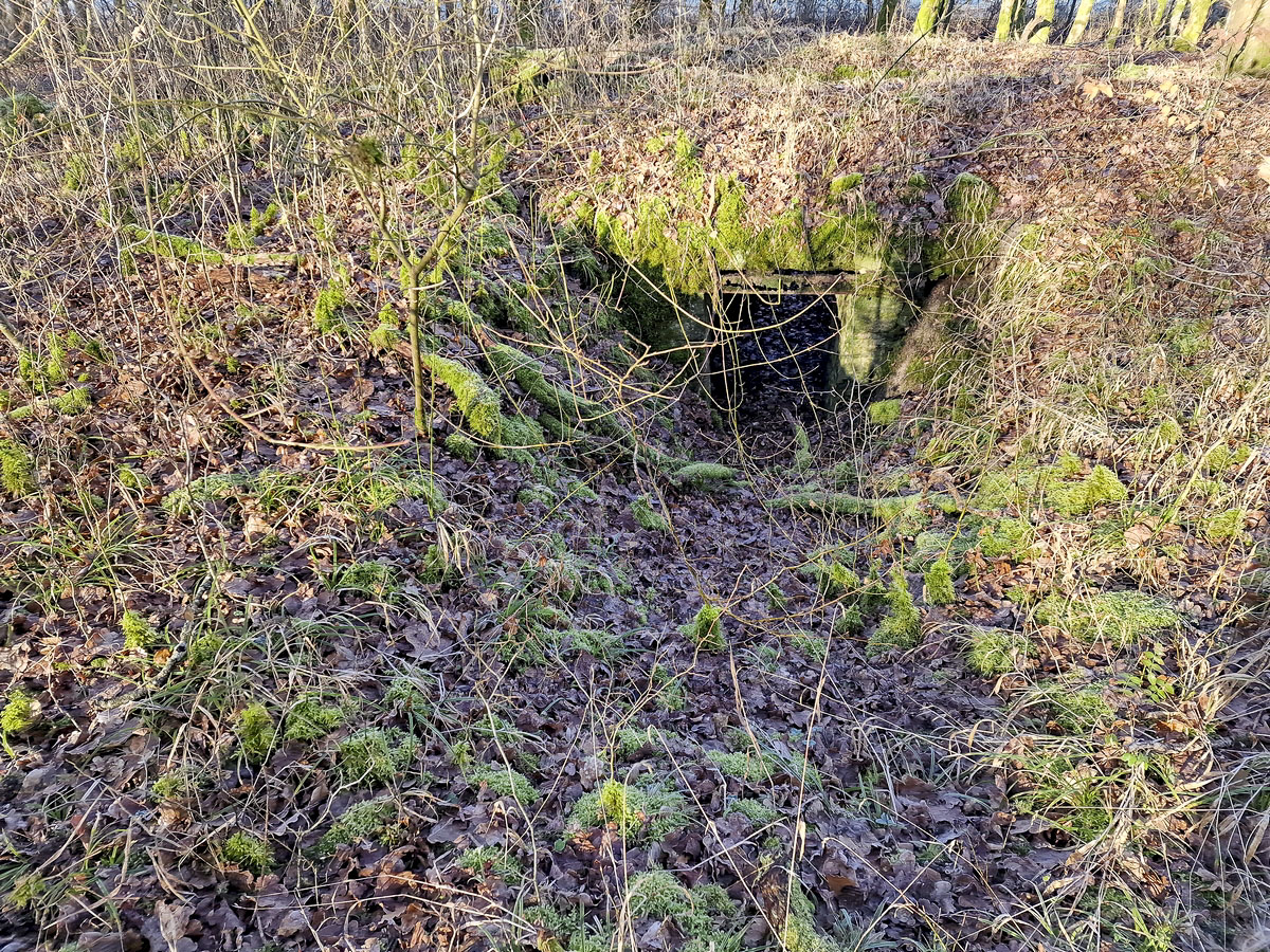 Ligne Maginot - ALTWIESERBACH 4 - (Cuve pour arme d'infanterie) - L'entrée de l'ouvrage - Franck Niederlender