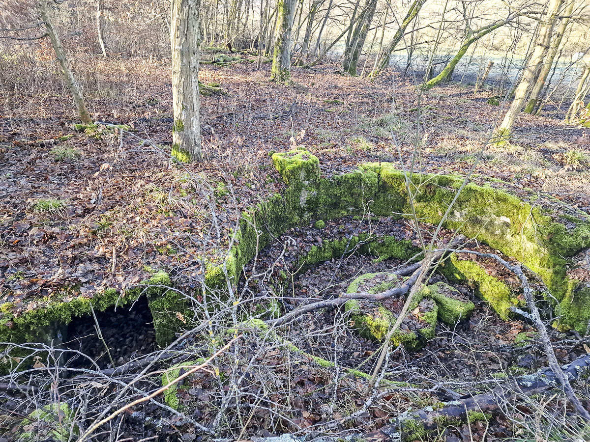 Ligne Maginot - ALTWIESERBACH 3 - (Cuve pour arme d'infanterie) - Vue d'ensemble de l'ouvrage - Franck Niederlender