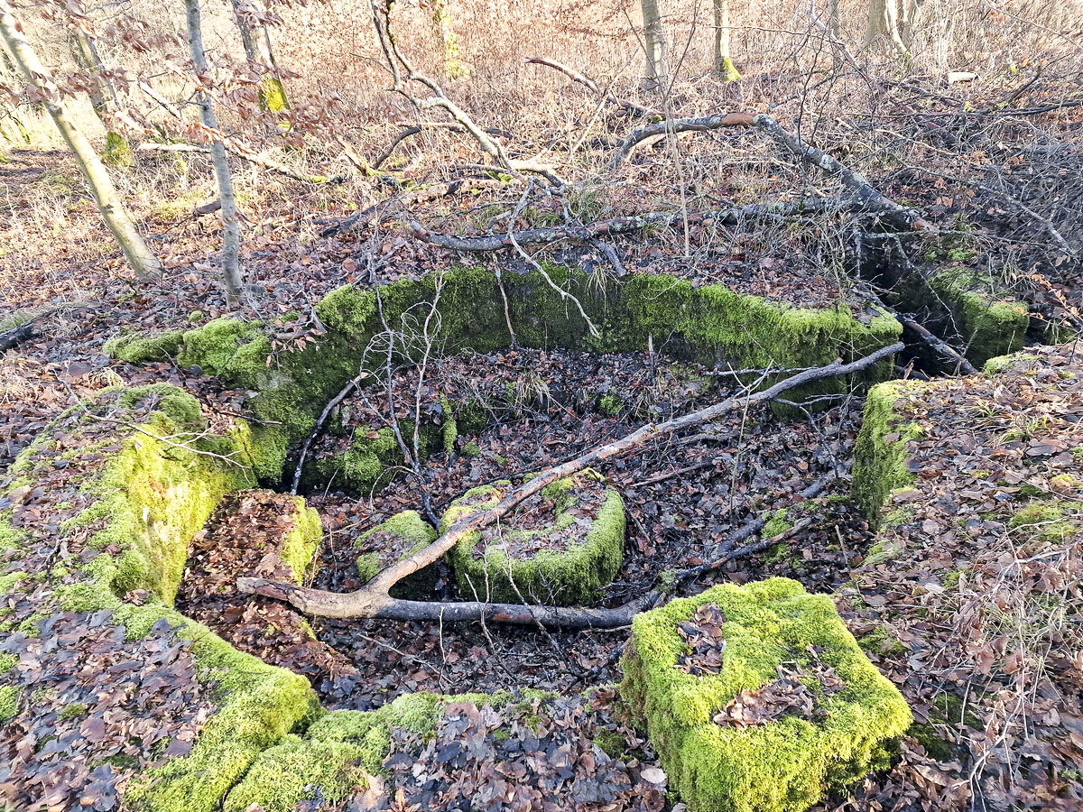 Ligne Maginot - ALTWIESERBACH 3 - (Cuve pour arme d'infanterie) - Vue d'ensemble de l'ouvrage côté opposé - Franck Niederlender