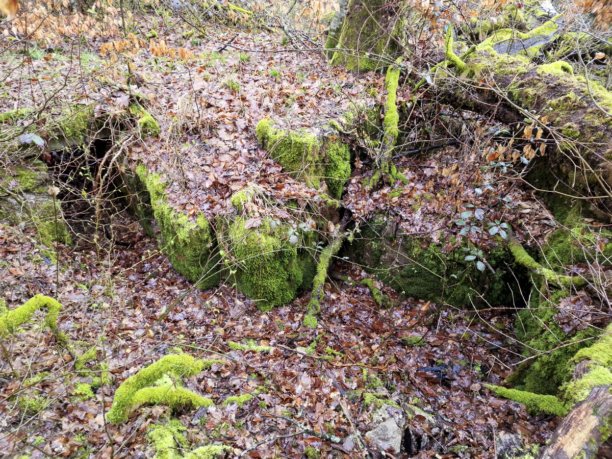 Ligne Maginot - ALTWIESERBACH 2 - (Cuve pour arme d'infanterie) - Vue d'ensemble de l'ouvrage - Franck Niederlender