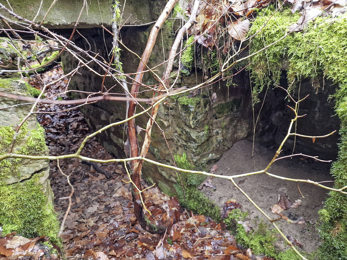 Ligne Maginot - ALTWIESERBACH 2 - (Cuve pour arme d'infanterie) - L'abri et le passage partiellement comblés - Franck Niederlender