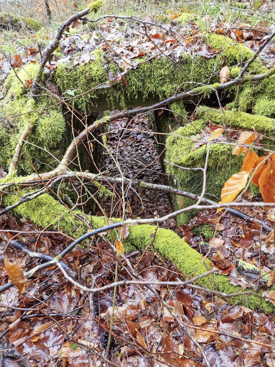 Ligne Maginot - ALTWIESERBACH 2 - (Cuve pour arme d'infanterie) - L'entrée opposée de l'ouvrage - Franck Niederlender