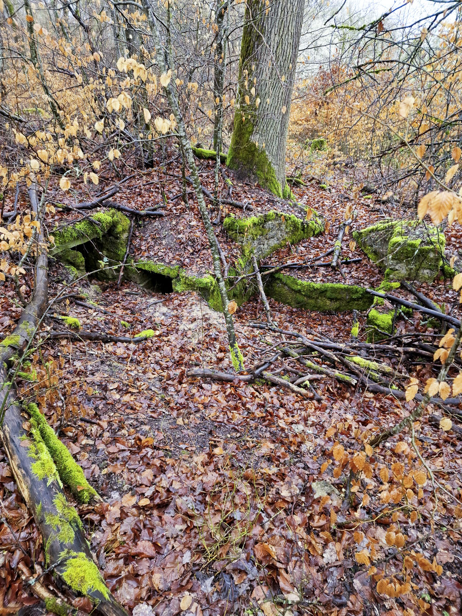 Ligne Maginot - ALTWIESERBACH 1 - (Cuve pour arme d'infanterie) - Vue d'ensemble de l'ouvrage - Franck Niederlender