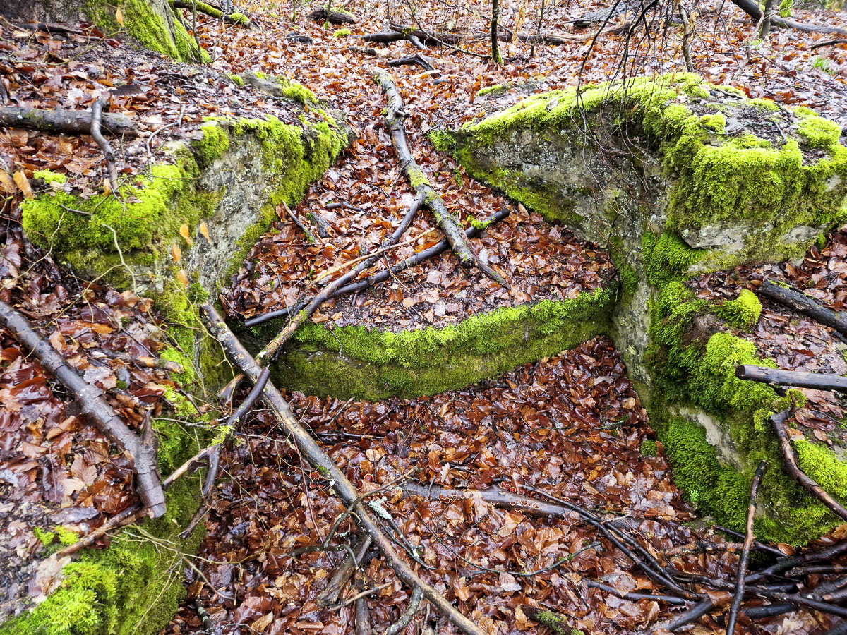 Ligne Maginot - ALTWIESERBACH 1 - (Cuve pour arme d'infanterie) - Le poste de tir - Franck Niederlender