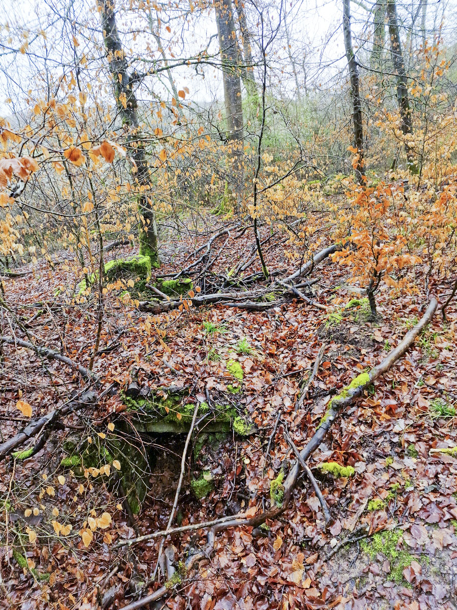 Ligne Maginot - ALTWIESERBACH 1 - (Cuve pour arme d'infanterie) - L'entrée de l'ouvrage côté opposé - Franck Niederlender