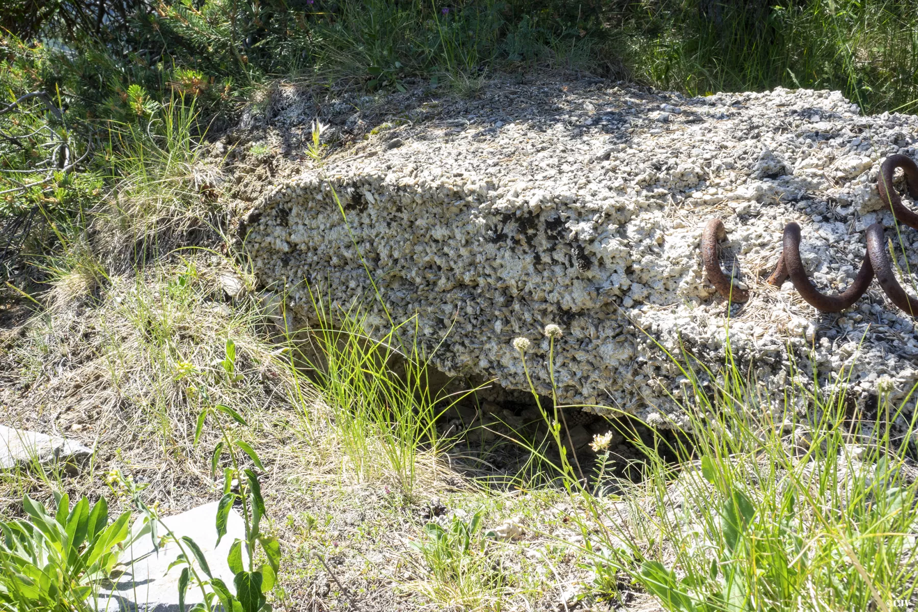 Ligne Maginot - CHARLES-ALBERT SUD 1 - (Blockhaus pour arme infanterie) - Un créneau 