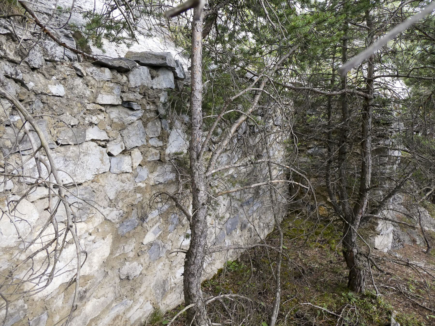 Ligne Maginot - COTE 1408 OUEST - (Abri) - 