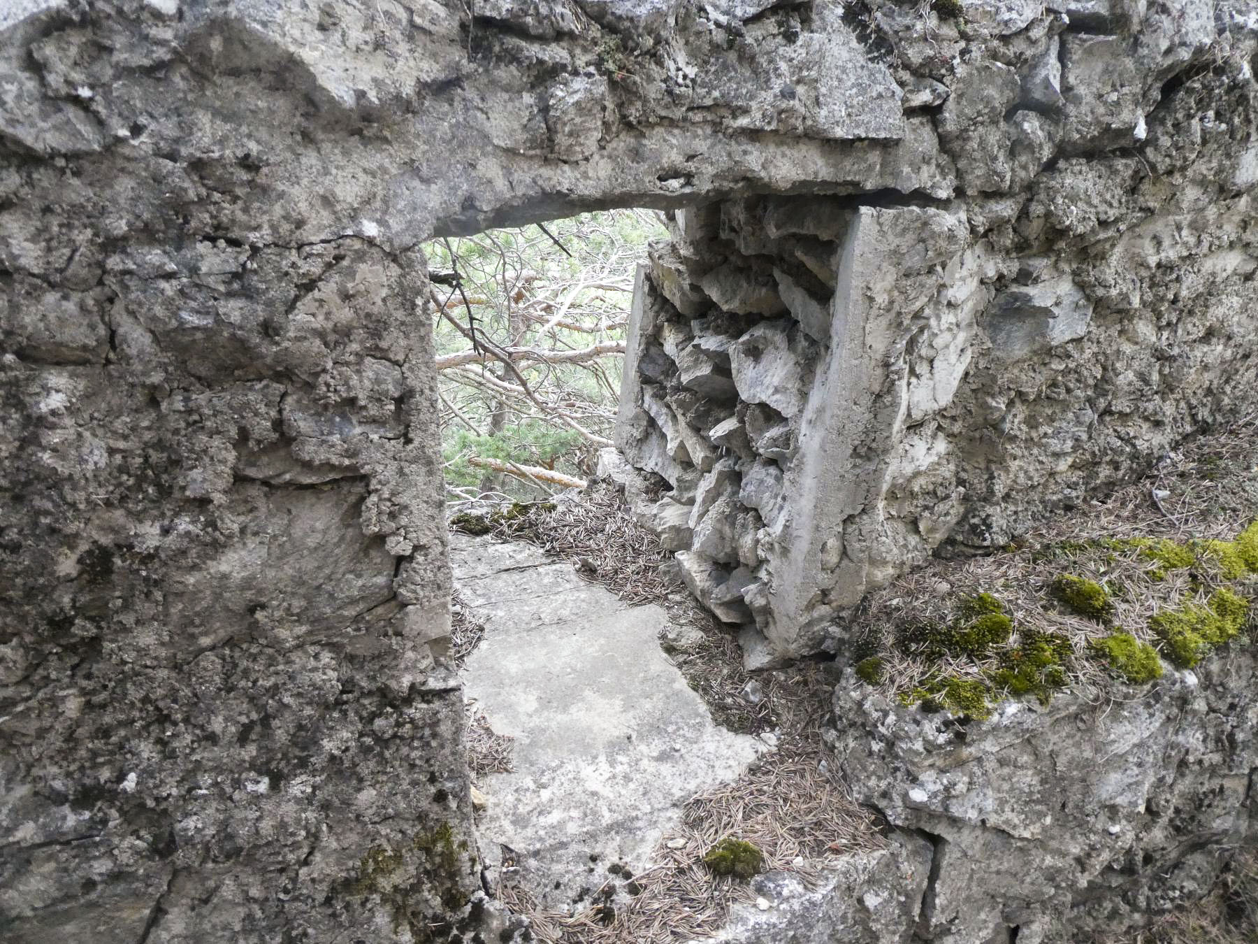 Ligne Maginot - COTE 1408 OUEST - (Abri) - 