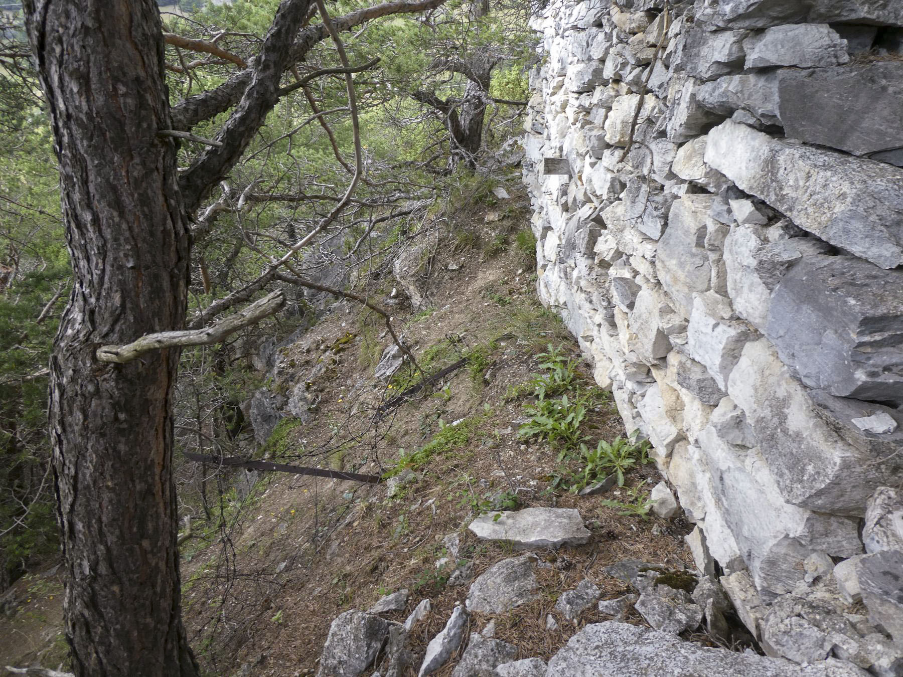 Ligne Maginot - COTE 1408 OUEST - (Abri) - 