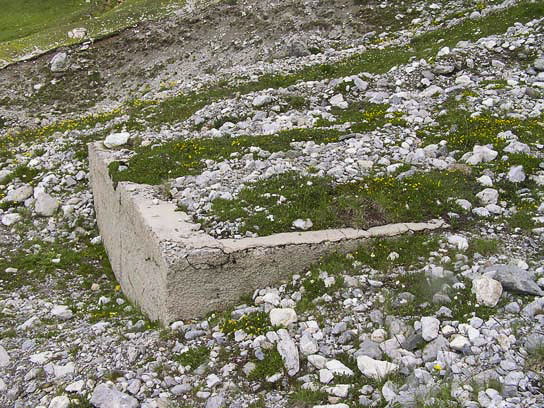 Ligne Maginot - LA ROUE - (Ouvrage d'infanterie) - Le bassin de la source d'eau alimentant l'ouvrage, situé au bord du chemin d'accès