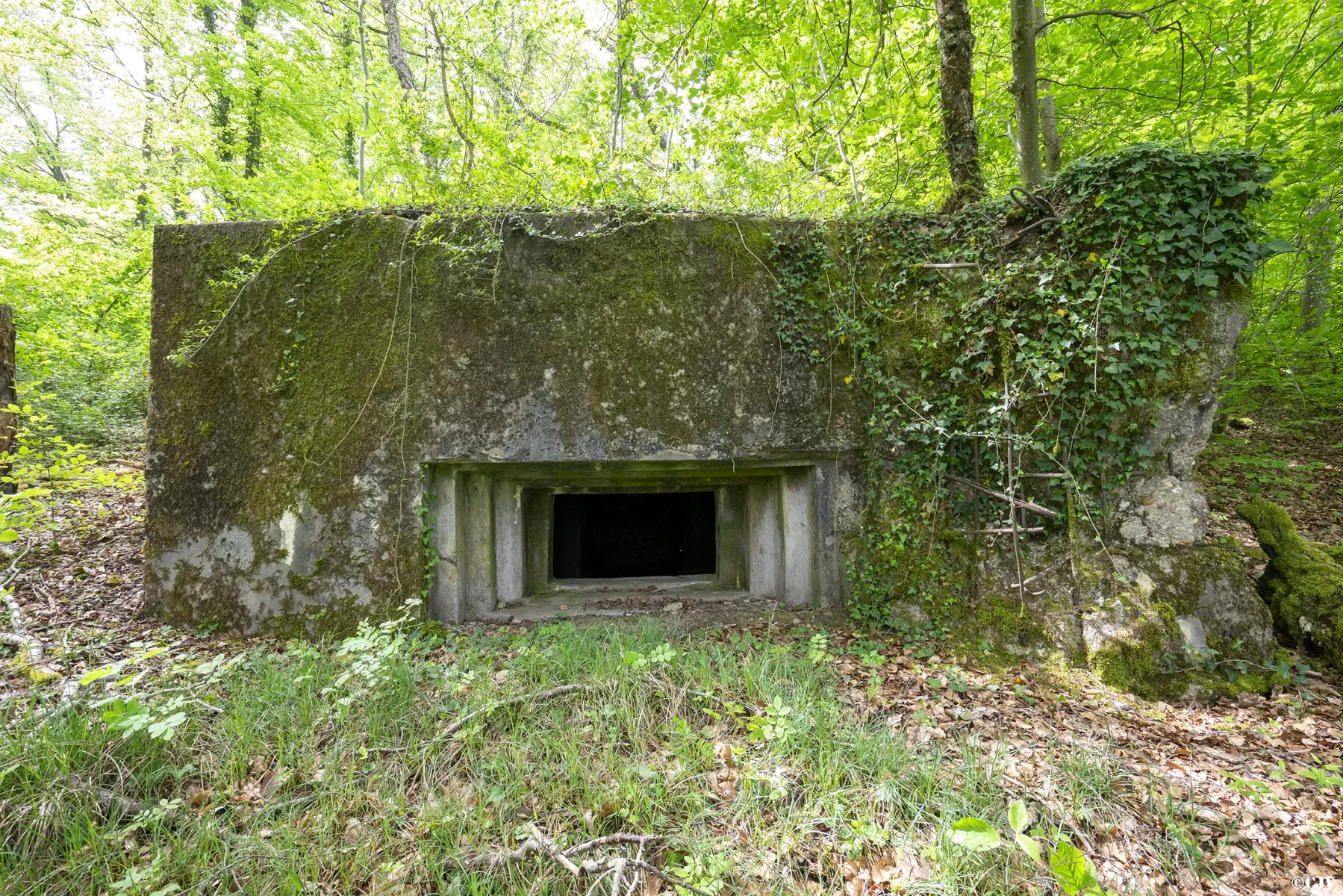 Ligne Maginot - CB137 - NONNENBERG CENTRE - (Blockhaus pour canon) -  - Lia VERMEULEN
