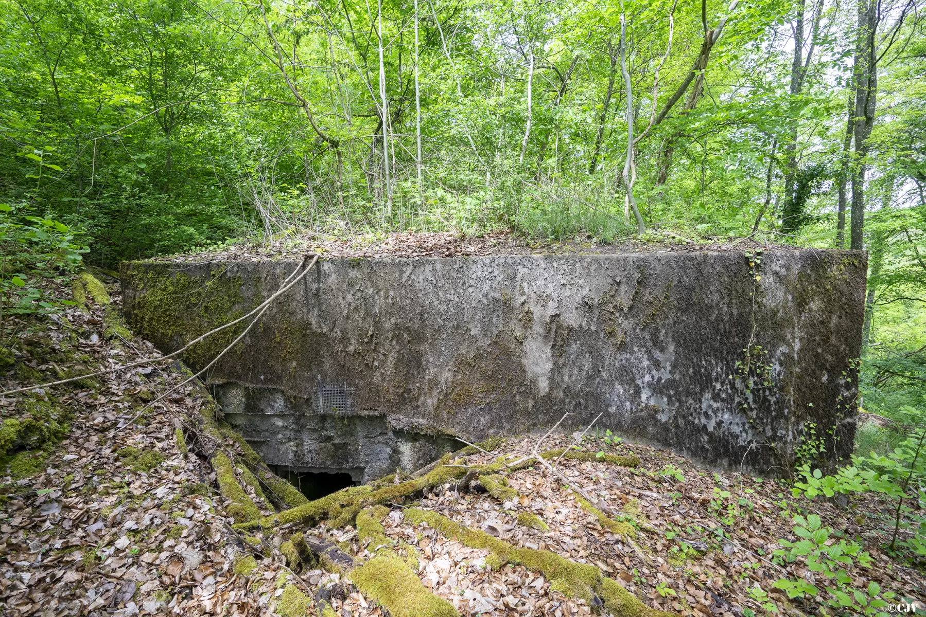 Ligne Maginot - CB137 - NONNENBERG CENTRE - (Blockhaus pour canon) - L'entrée du personnel - Lia VERMEULEN