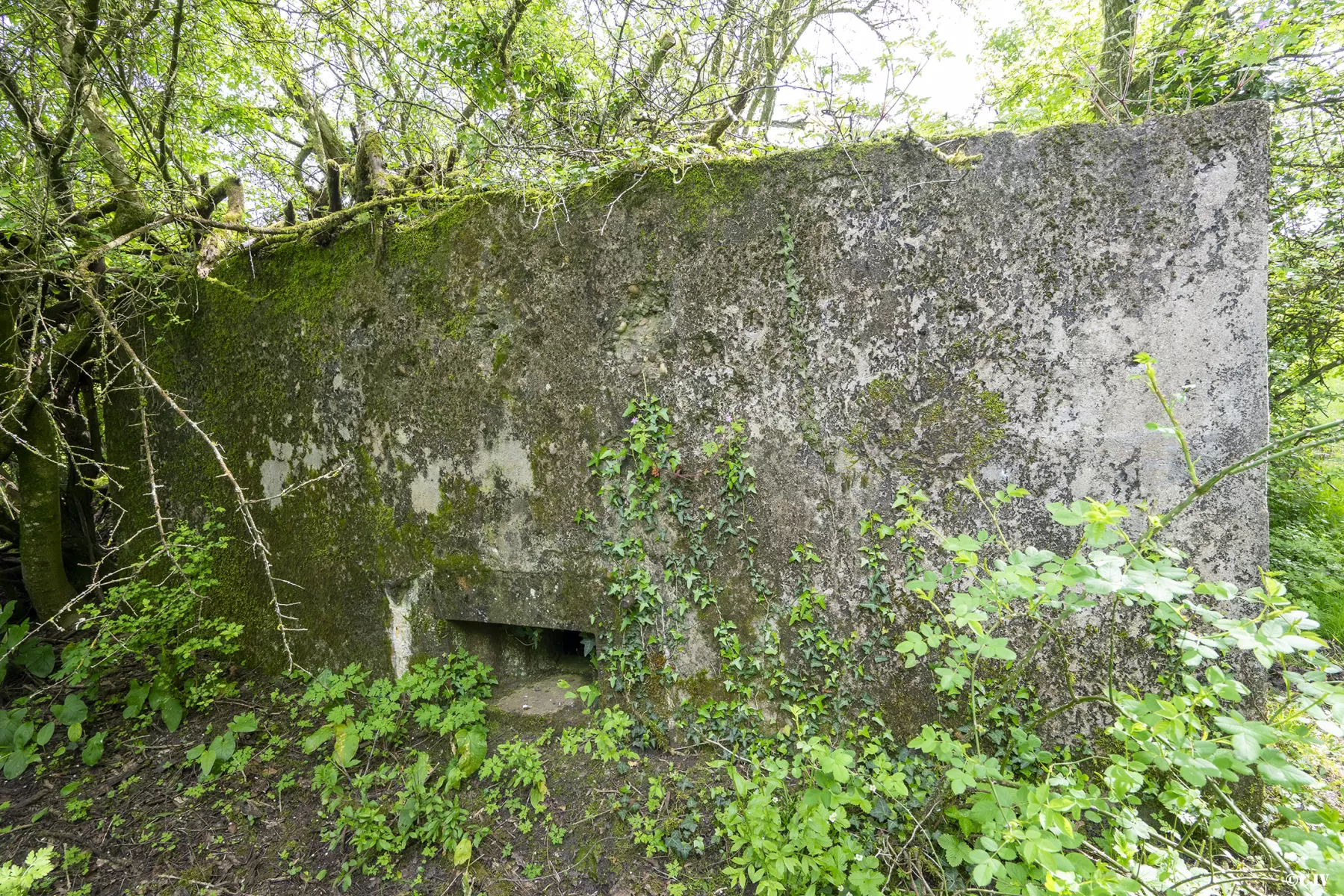 Ligne Maginot - CB139 - NONNENBERG NORD - (Blockhaus pour arme infanterie) -  - Lia VERMEULEN