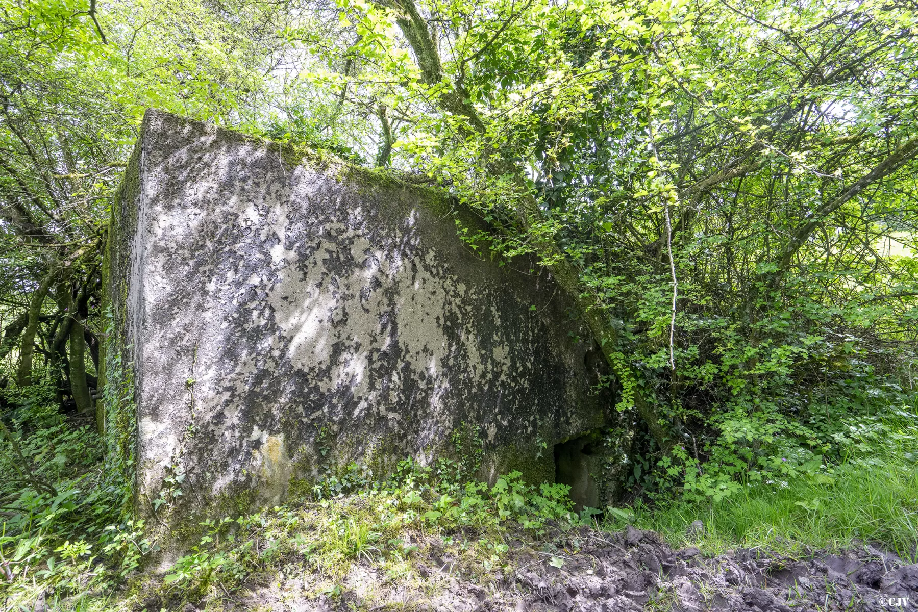 Ligne Maginot - CB139 - NONNENBERG NORD - (Blockhaus pour arme infanterie) - L'entrée - Lia VERMEULEN