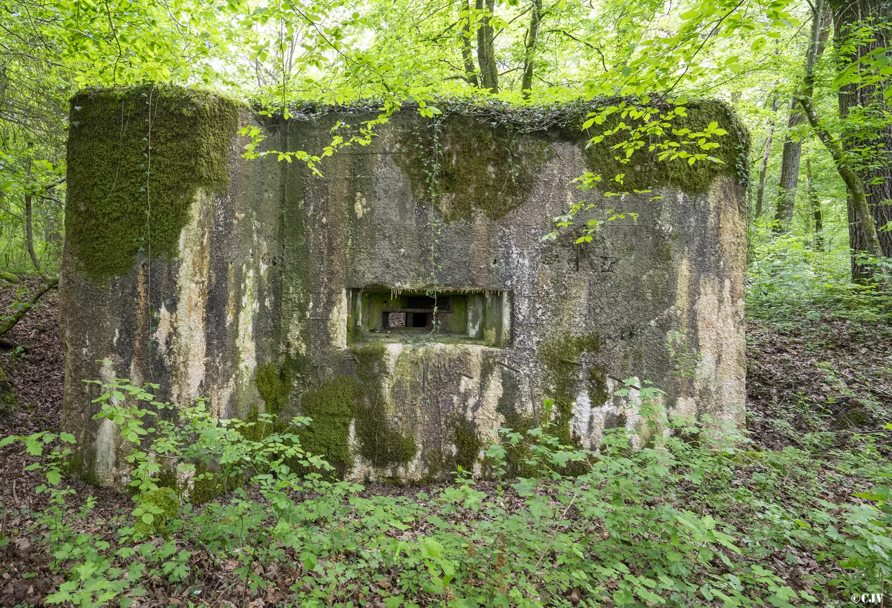 Ligne Maginot - CB440 - PIVELSACKER - (Blockhaus pour canon) -  - Lia VERMEULEN