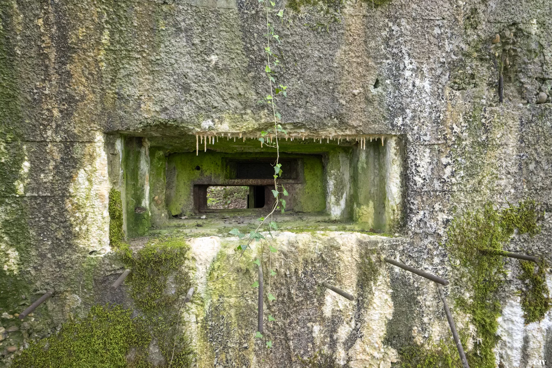 Ligne Maginot - CB440 - PIVELSACKER - (Blockhaus pour canon) - L'embrasure et le trémie - Lia VERMEULEN