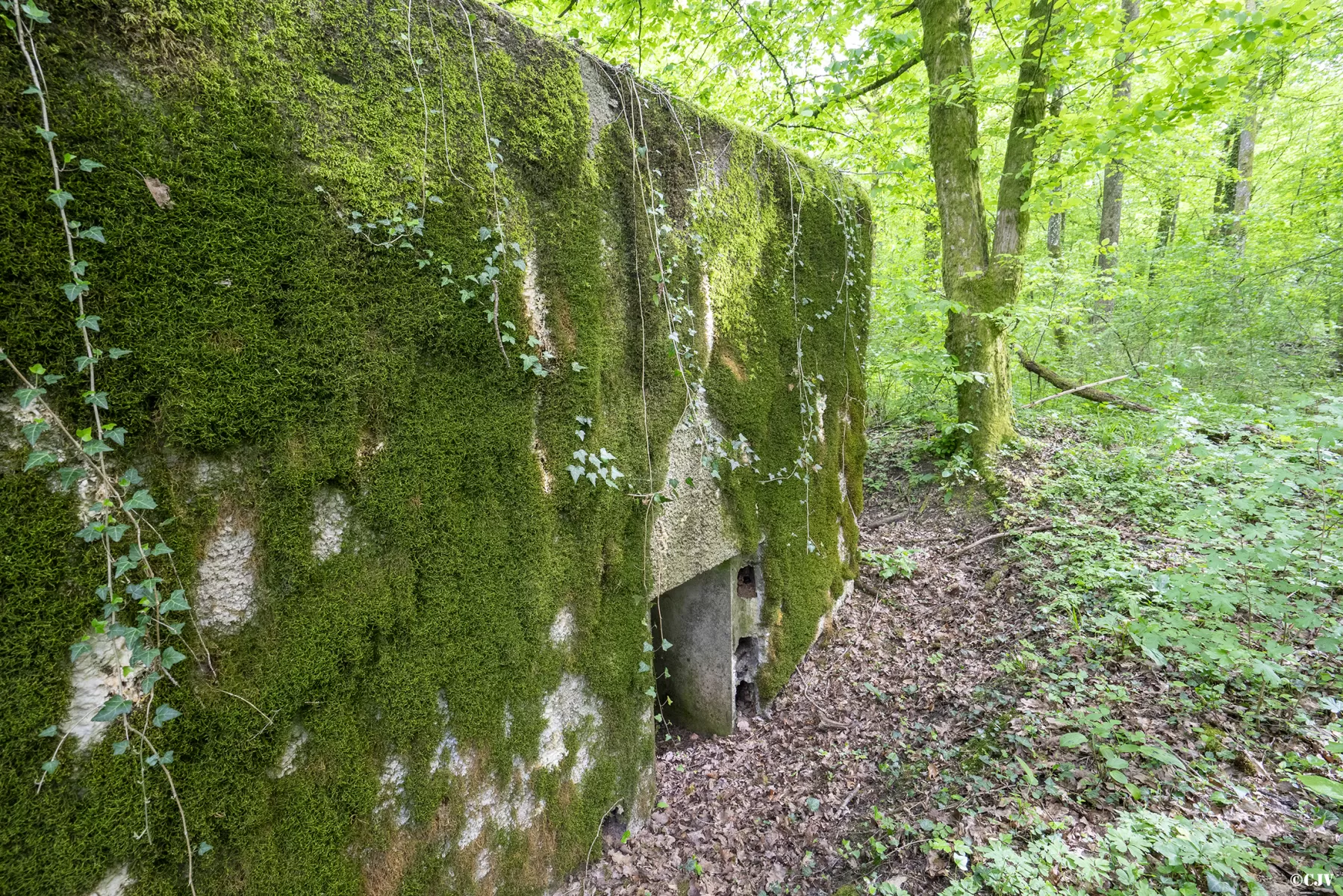 Ligne Maginot - CB440 - PIVELSACKER - (Blockhaus pour canon) - L'entrée du personnel - Lia VERMEULEN
