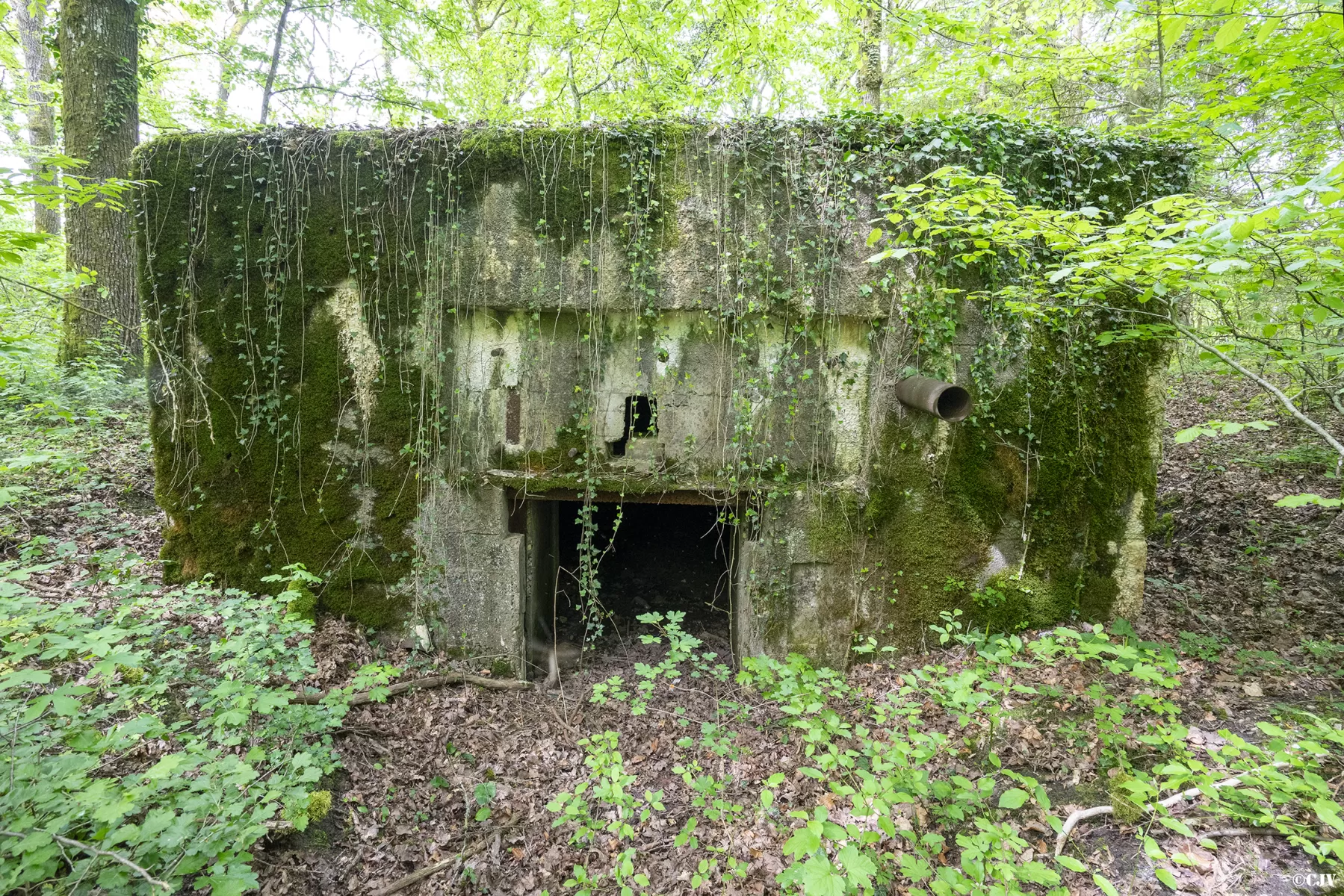 Ligne Maginot - CB440 - PIVELSACKER - (Blockhaus pour canon) - L'entrée du canon - Lia VERMEULEN