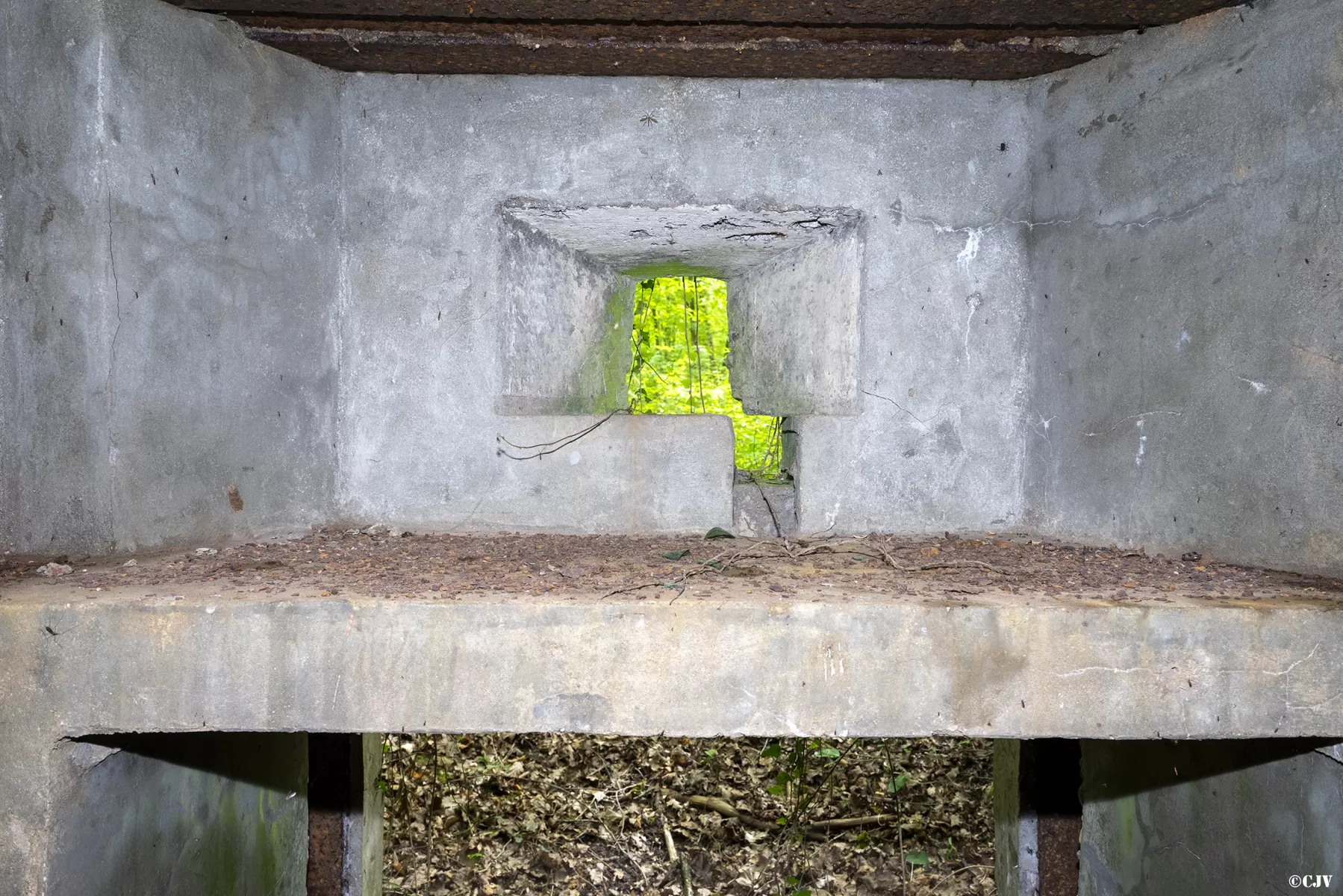 Ligne Maginot - CB440 - PIVELSACKER - (Blockhaus pour canon) - L'ouverture en dessus de l'entrée pour le canon - Lia VERMEULEN