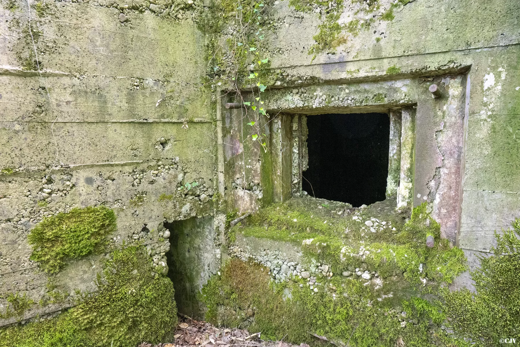 Ligne Maginot - CB441 - (Blockhaus pour arme infanterie) -  - Lia VERMEULEN