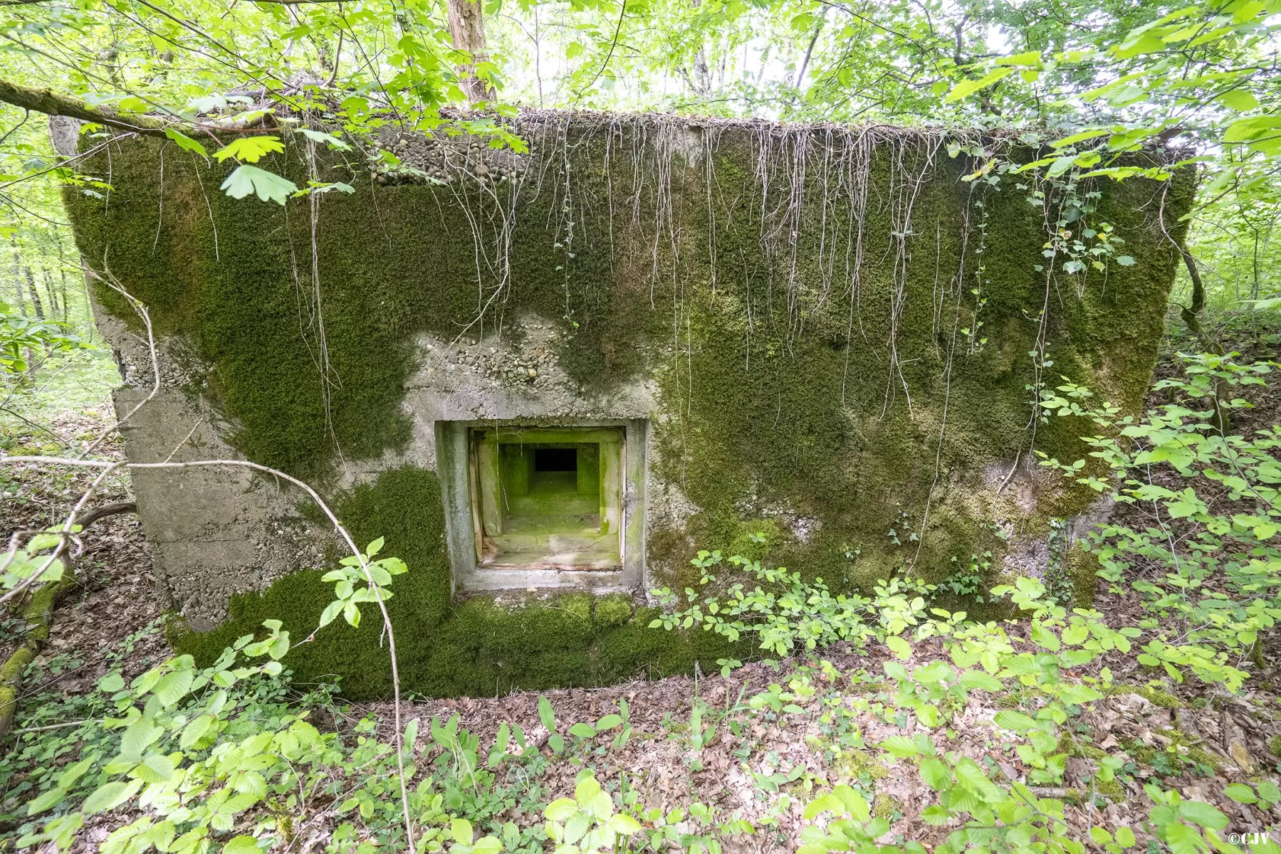 Ligne Maginot - CB441 - (Blockhaus pour arme infanterie) - Créneau de défense des arrières - Lia VERMEULEN