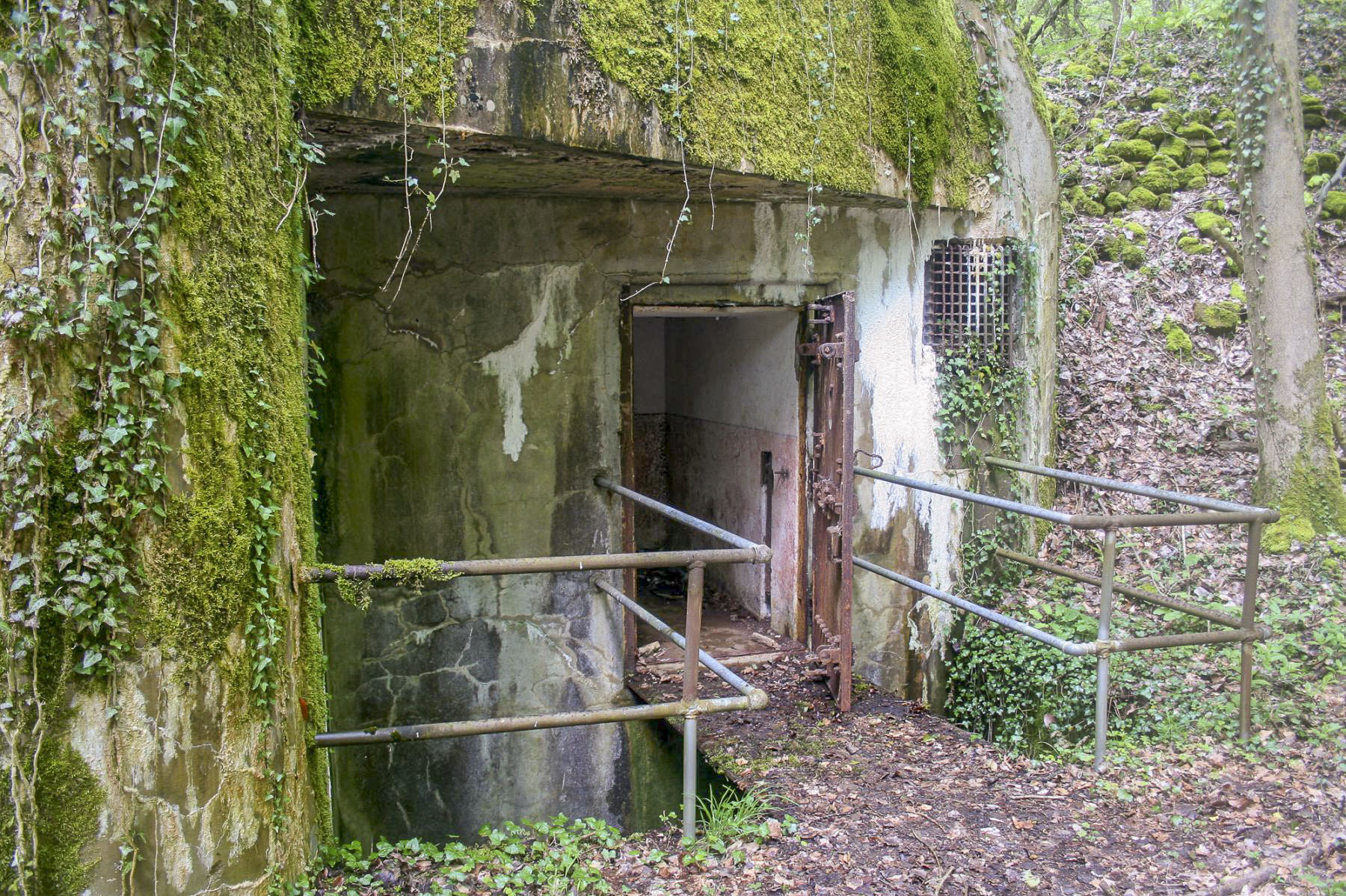 Ligne Maginot - BOIS D'ESCHERANGE - X3 (QUARTIER KANFEN - I/169°RIF) - (Abri) - Entrée du coffre gauche - Michel Teiten