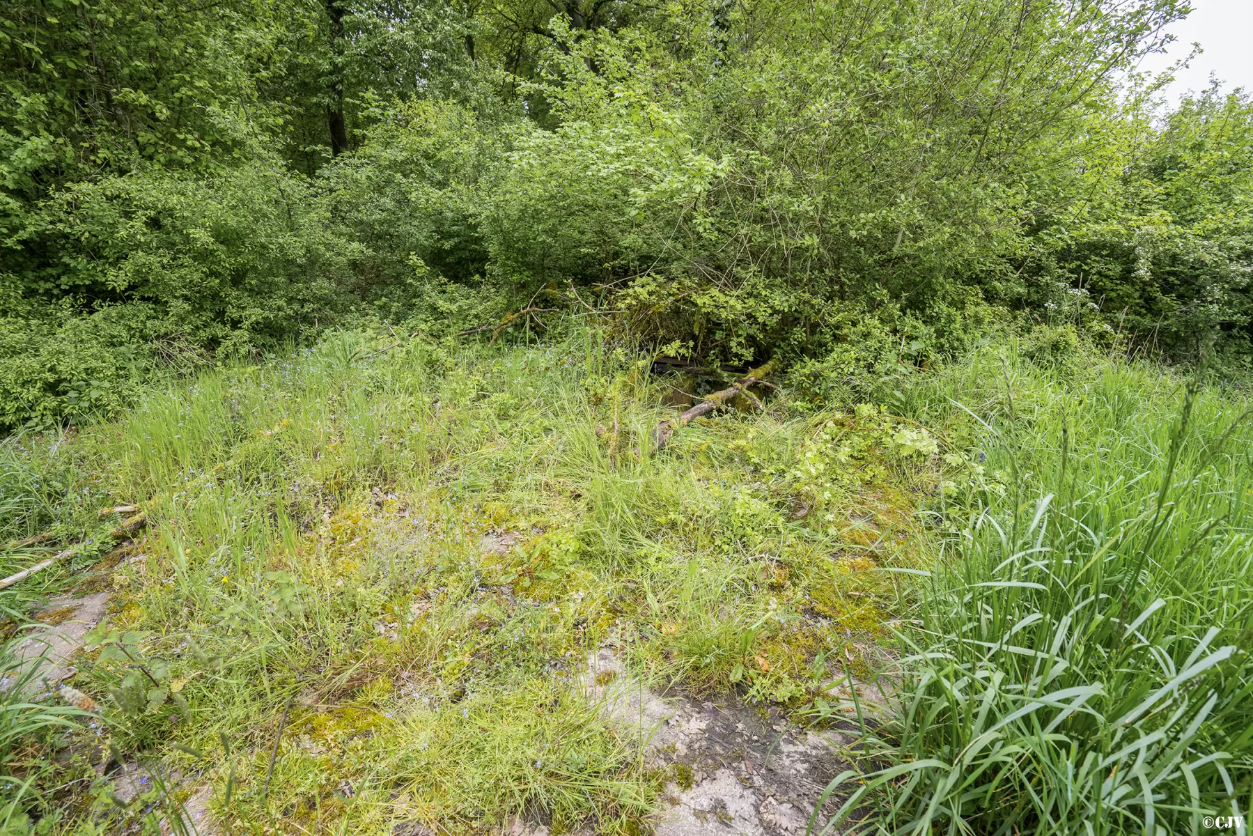 Ligne Maginot - 13A - (Chambre de coupure) -  - Lia VERMEULEN