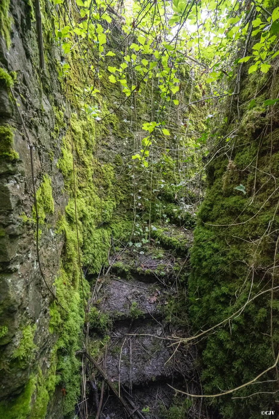 Ligne Maginot - BAN SAINT JEAN (II/160°RIF) - (PC de Quartier) - L'escalier d'accès - Lia VERMEULEN