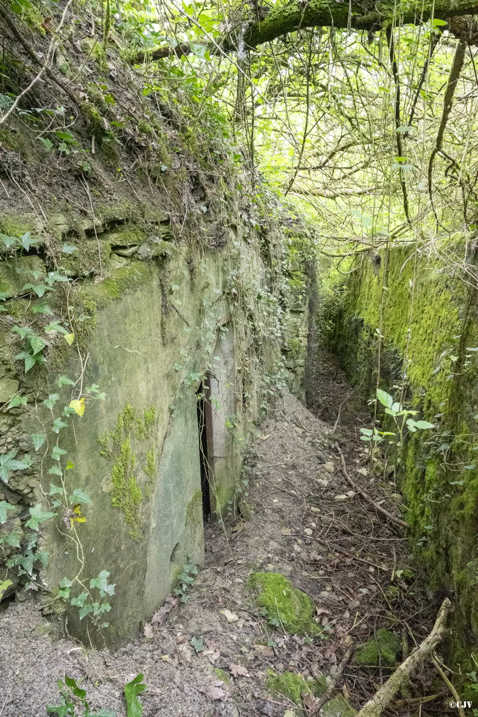 Ligne Maginot - BAN SAINT JEAN (II/160°RIF) - (PC de Quartier) -  - Lia VERMEULEN