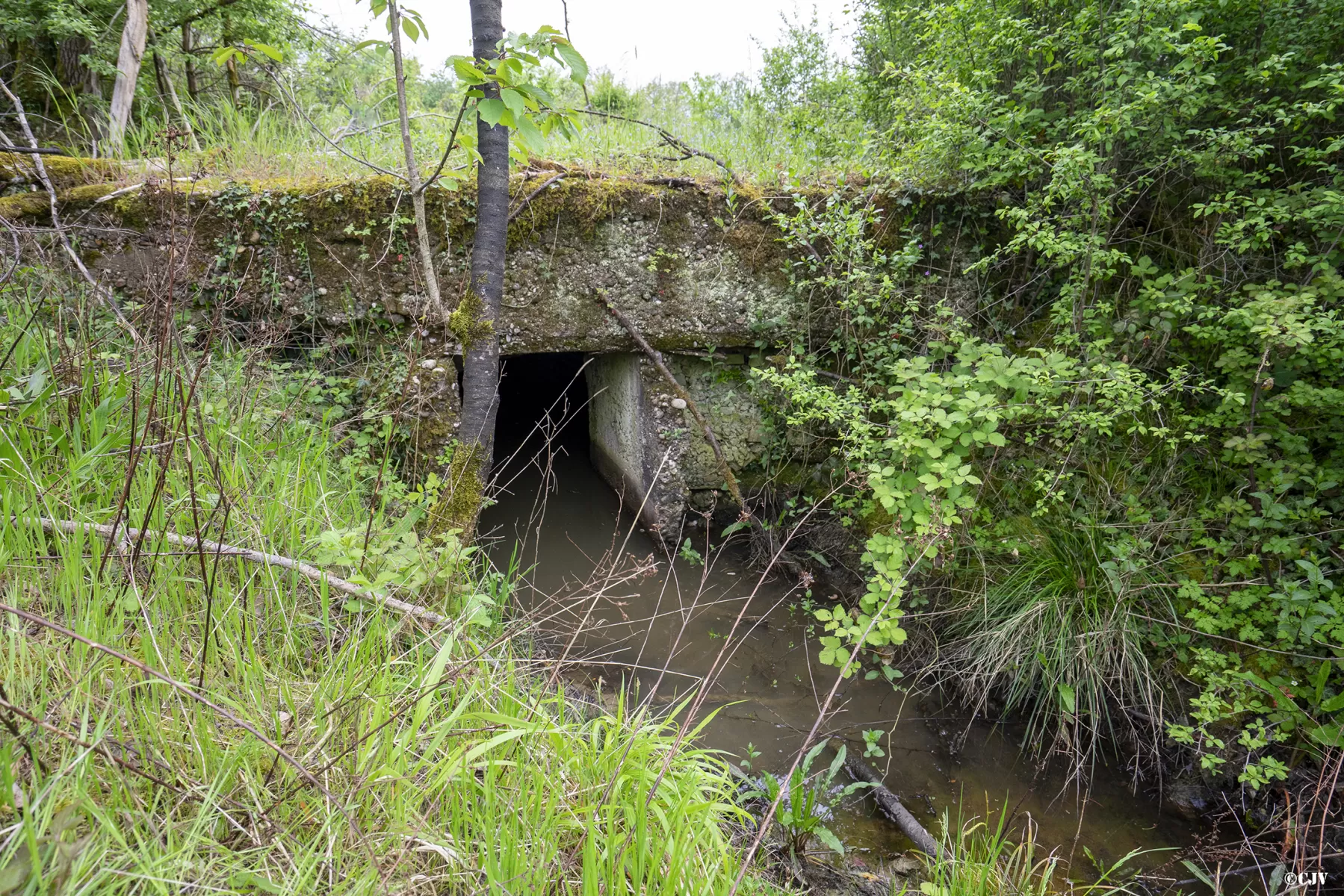 Ligne Maginot - BAN SAINT JEAN - (Abri) - Entrée Est - Lia VERMEULEN