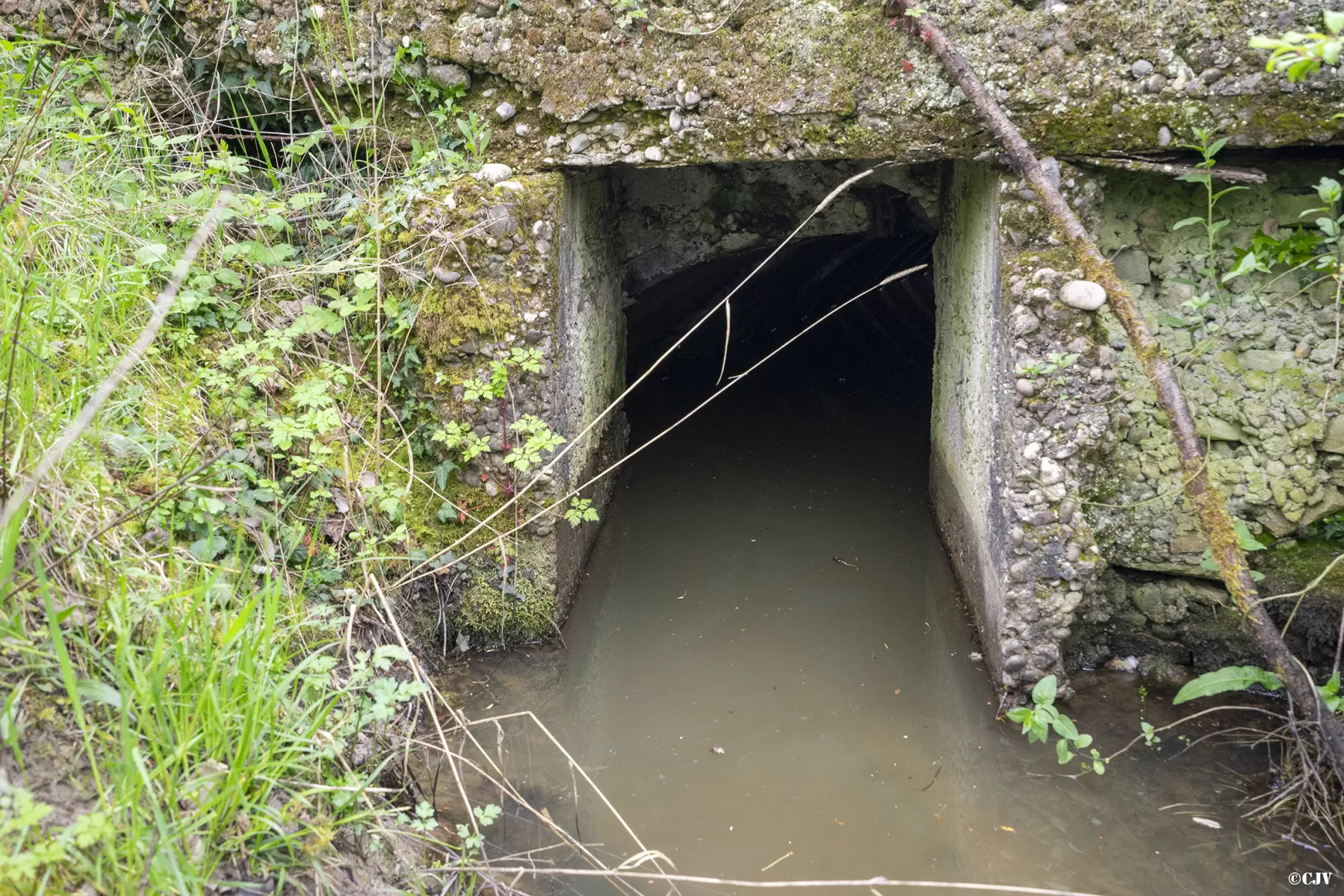 Ligne Maginot - BAN SAINT JEAN - (Abri) - Entrée Est - Lia VERMEULEN