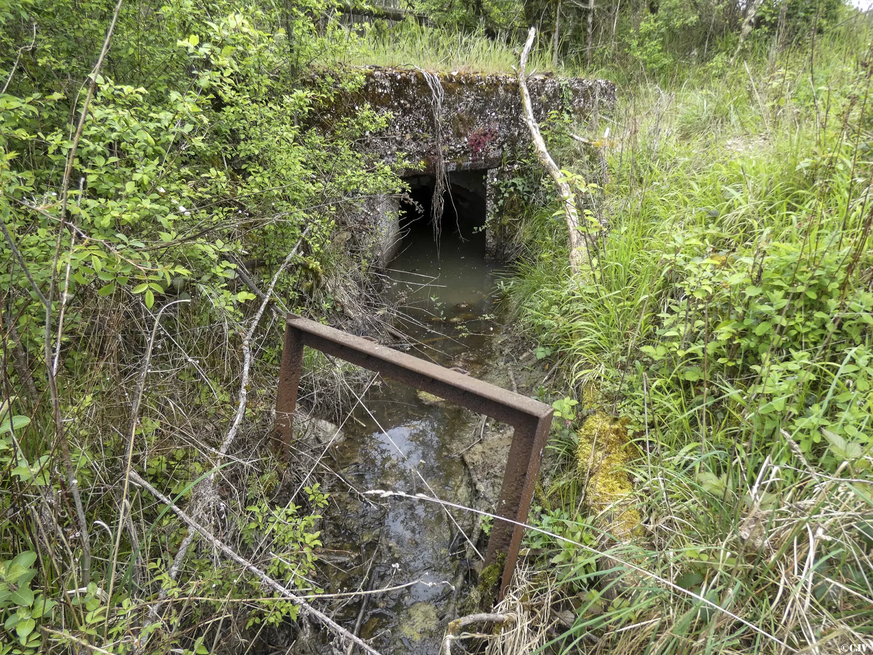 Ligne Maginot - BAN SAINT JEAN - (Abri) - Entrée Ouest - Vincent Vermeulen