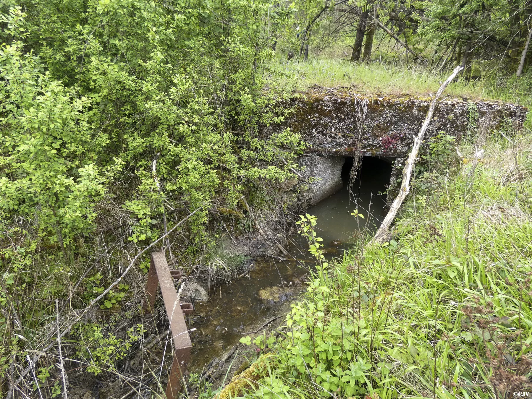 Ligne Maginot - BAN SAINT JEAN - (Abri) - Entrée Ouest - Vincent Vermeulen