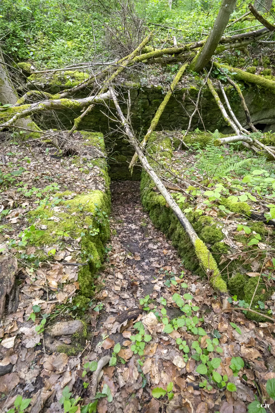 Ligne Maginot - BOIS DE MEDERCHEN (I/160° RIF) - (PC de Quartier) -  - Lia VERMEULEN