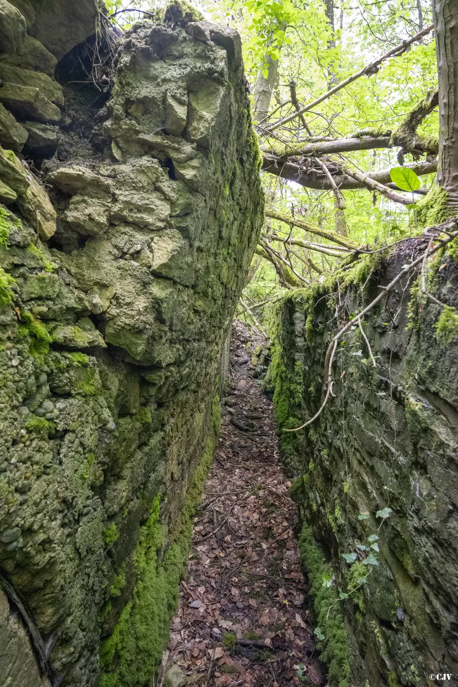 Ligne Maginot - BOIS DE MEDERCHEN (I/160° RIF) - (PC de Quartier) - Le tranchée - Lia VERMEULEN