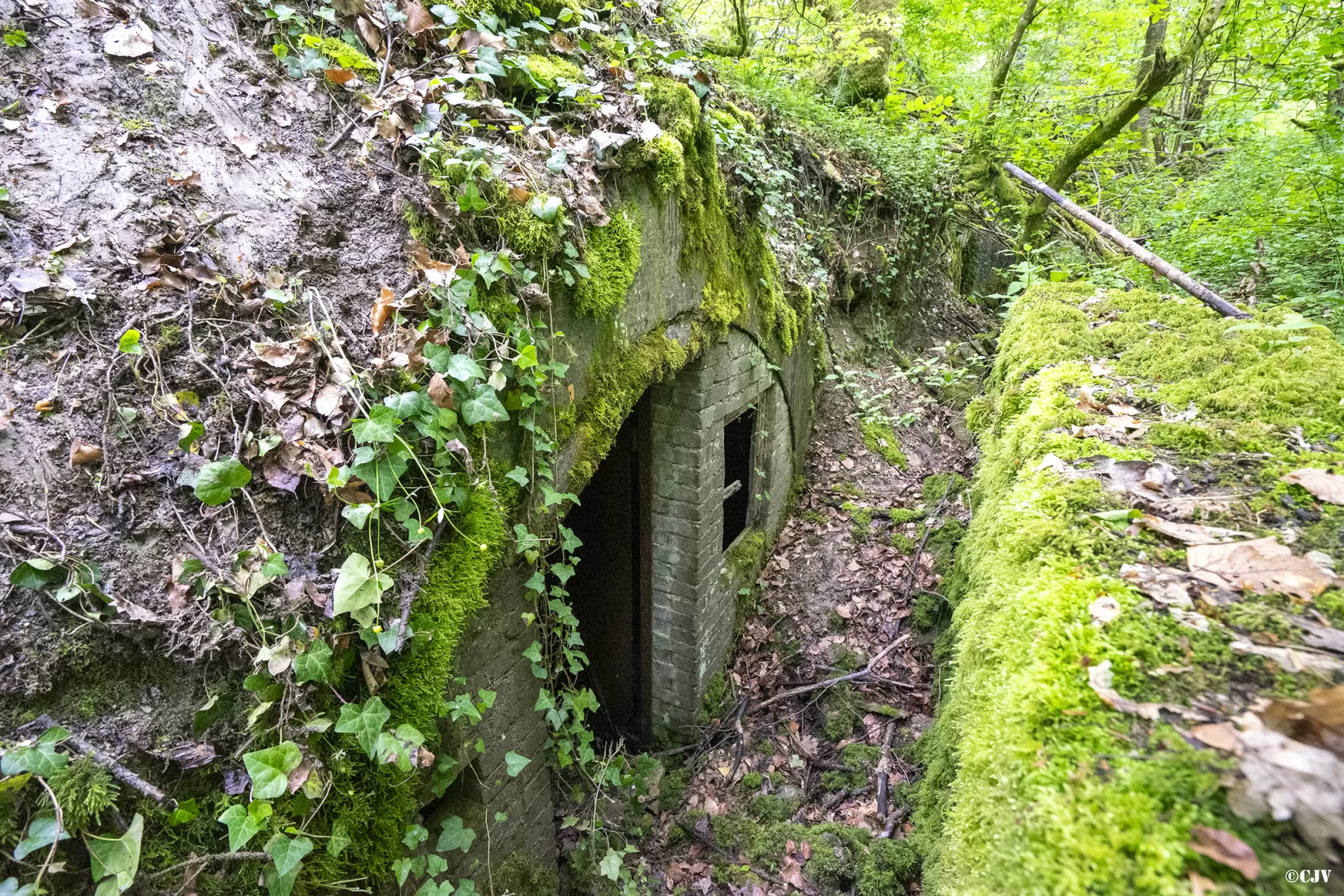 Ligne Maginot - BOIS DE MEDERCHEN (I/160° RIF) - (PC de Quartier) -  - Lia VERMEULEN