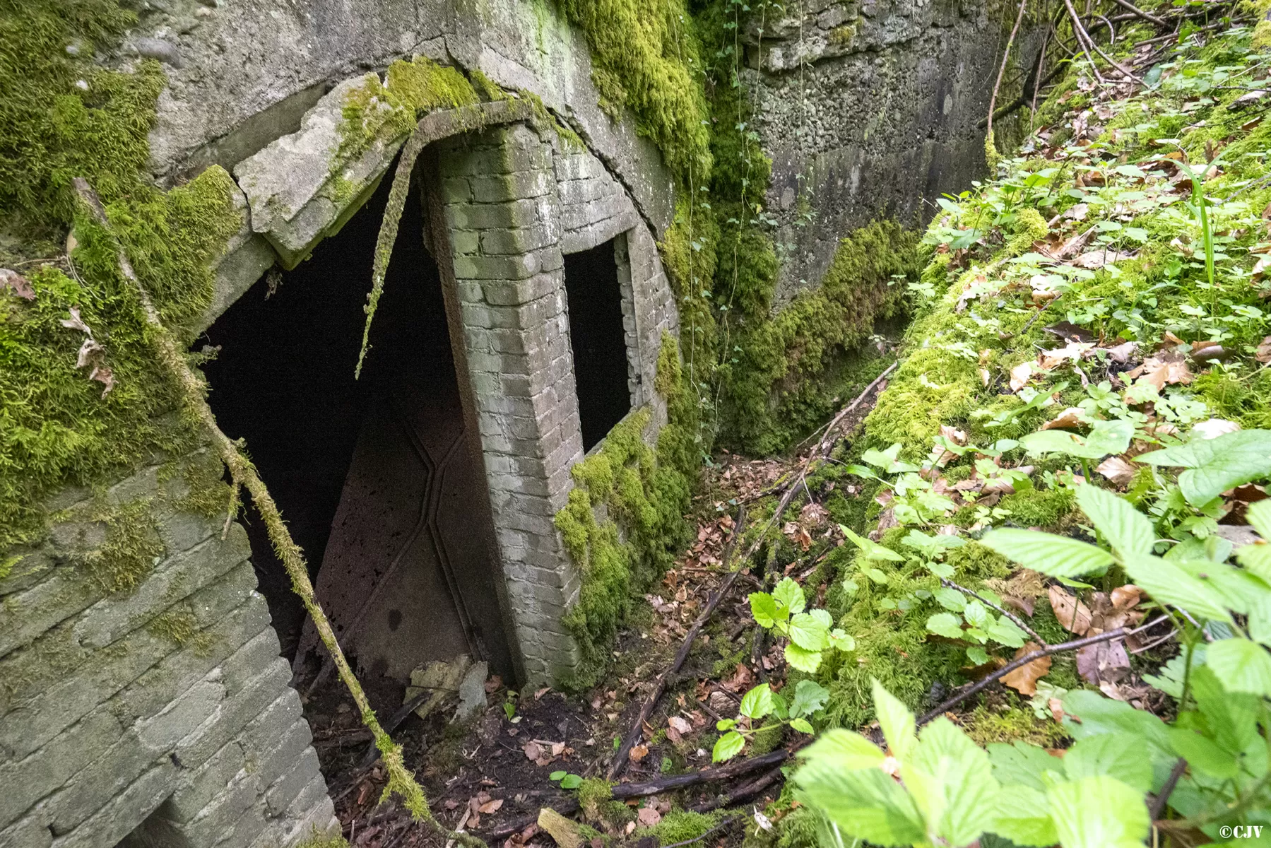 Ligne Maginot - BOIS DE MEDERCHEN (I/160° RIF) - (PC de Quartier) -  - Lia VERMEULEN
