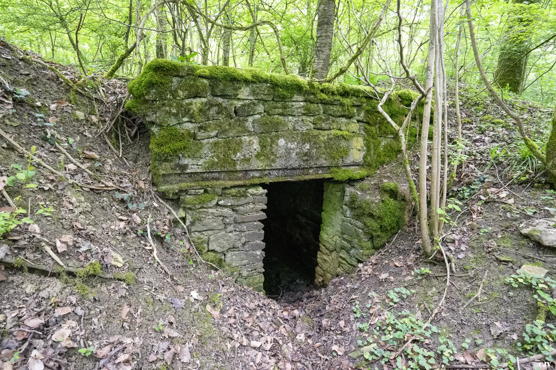 Ligne Maginot - MEDERCHEN SUD - (Abri) - Entrée Est - Lia VERMEULEN