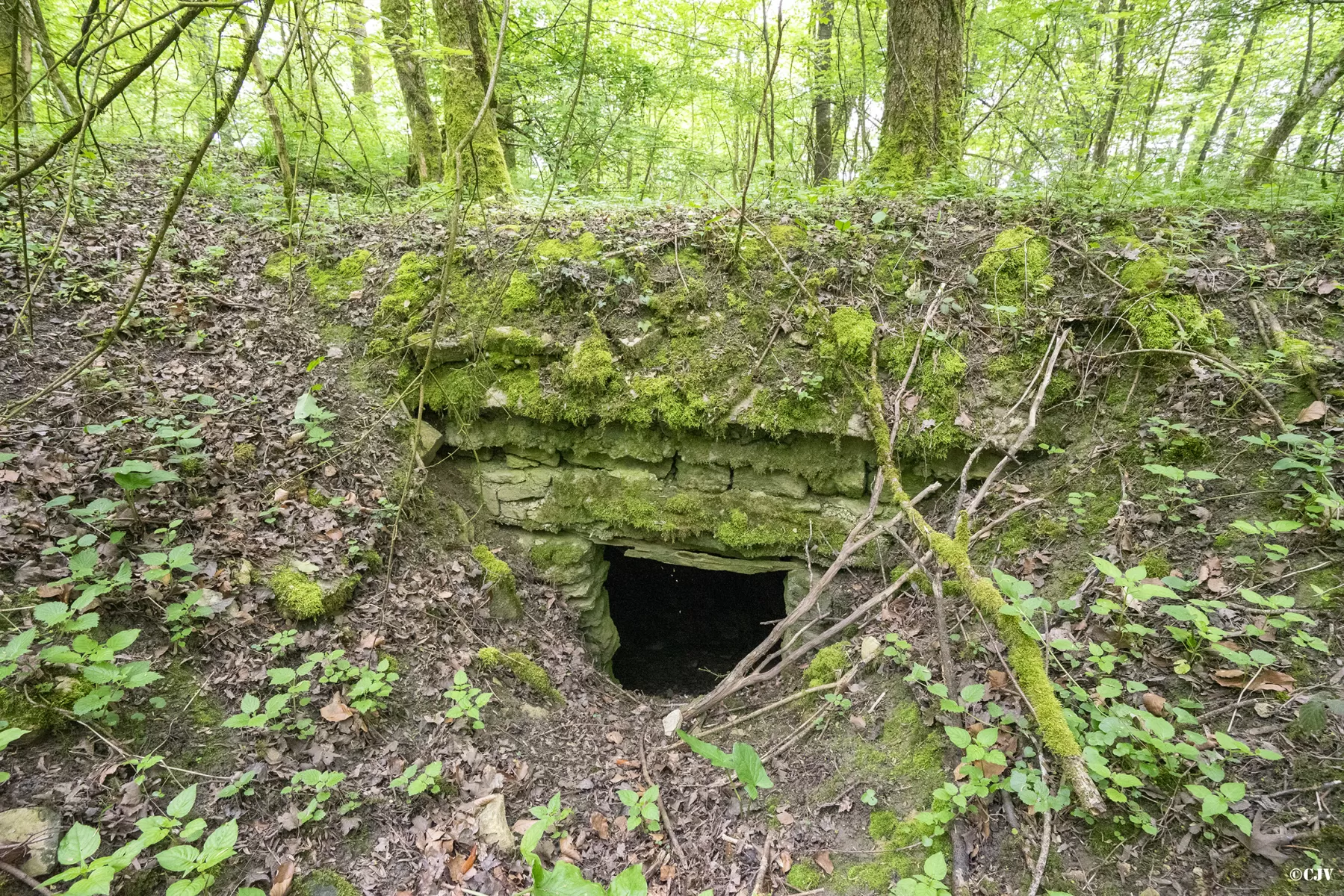 Ligne Maginot - MEDERCHEN SUD - (Abri) - L'entrée Ouest - Lia VERMEULEN