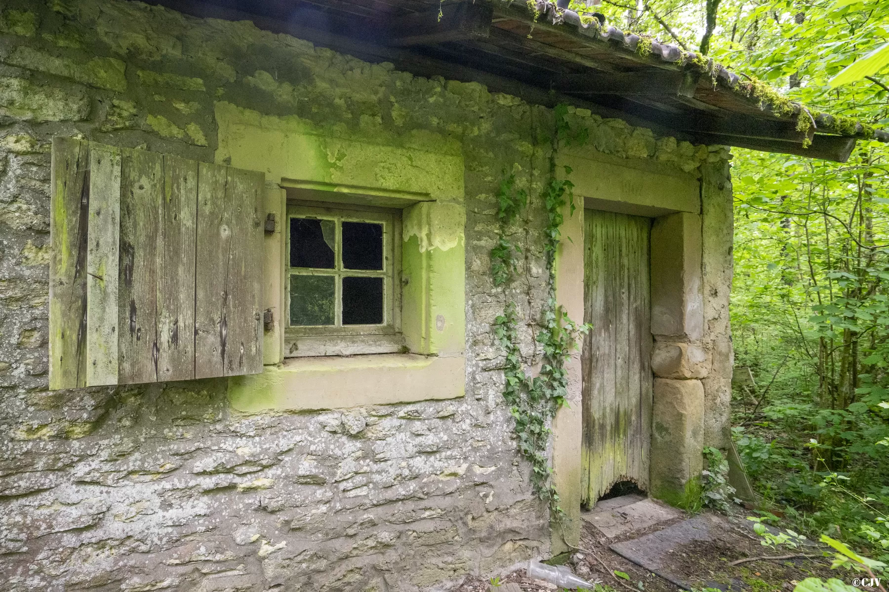 Ligne Maginot - BOIS DE MEDERCHEN - (Poste de Secours) -  - Lia VERMEULEN