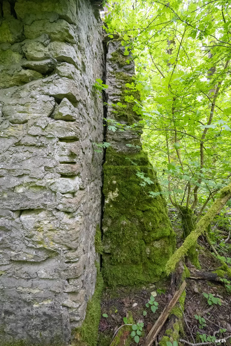 Ligne Maginot - BOIS DE MEDERCHEN - (Poste de Secours) - Le cheminée - Lia VERMEULEN