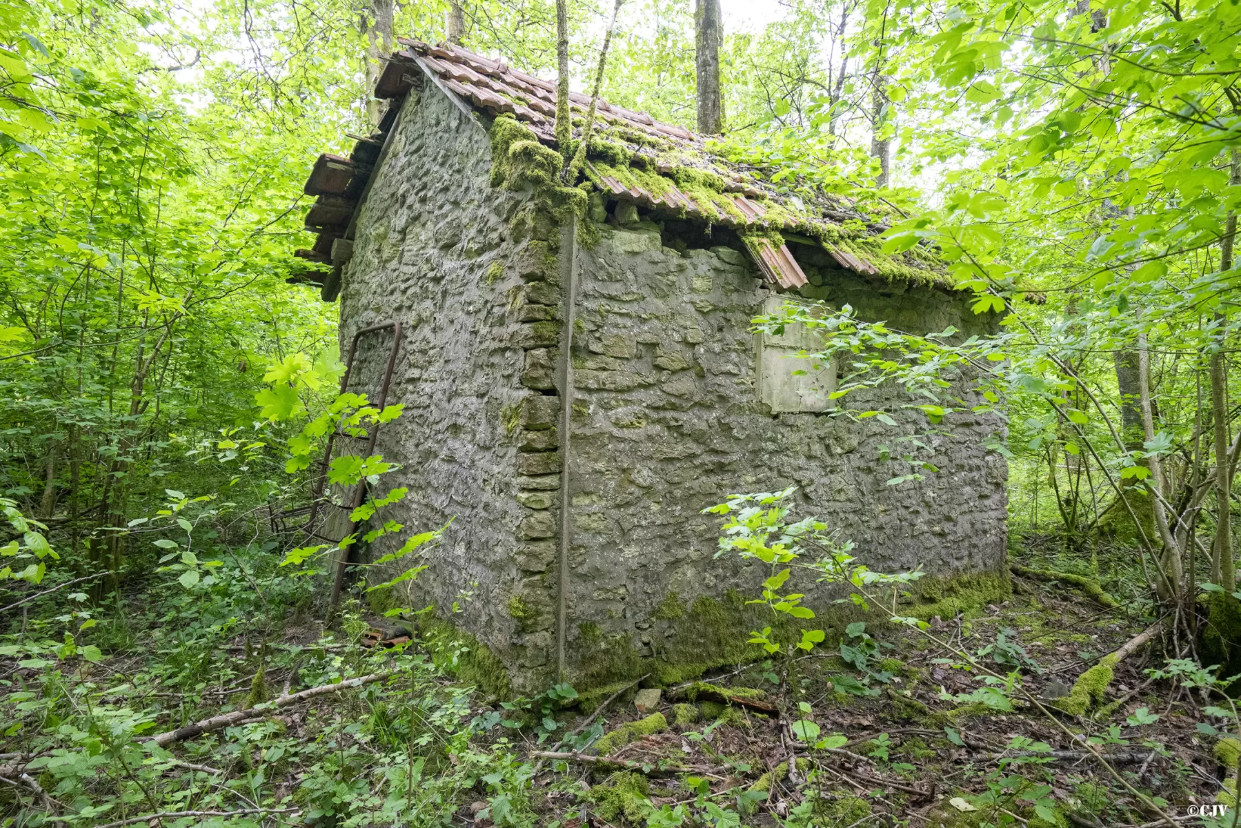 Ligne Maginot - BOIS DE MEDERCHEN - (Poste de Secours) -  - Lia VERMEULEN