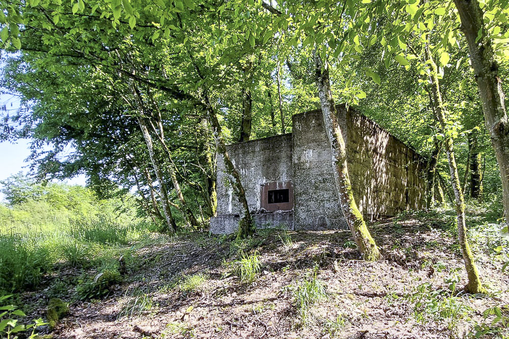 Ligne Maginot - CB260 - STRESSLING 1 - (Blockhaus pour arme infanterie) -  - Serge Teiten